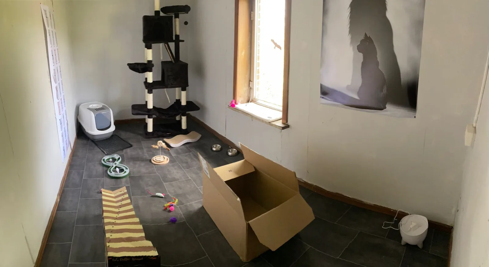 Veilige en rustige kattenruimte